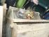 D�chets compostables