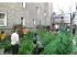 Cat�gorie : Espace public