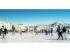 Espace pi�ton