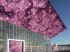 L�Arena, un bijou aux portes de Montpellier (diaporama)