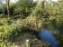 La Sorgue