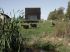Bocage normand