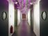 Inspiration industrielle pour des locaux chaleureux (article suite)