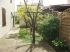 Jardin avant : verger