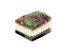 Substrat pour toiture v�g�talis�e Recticel Polygrow