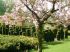 Jardin de l'ann�e 2012 - Jardins de S�ricourt