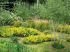 Coup de coeur 2012 - Jardin de Val Maubrune