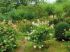 Coup de coeur 2012 - Jardin de Val Maubrune