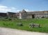 Une cour pleine de verdure