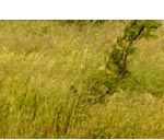 D�marches d?entreprises en faveur de la biodiversit� (diaporama)