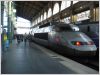 TGV