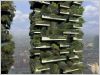 Bosco Verticale vue d'artiste
