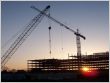 grue