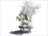 Les jardini�res XXXL