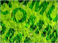 communication verte