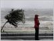 Gustav fait la pluie et le beau temps� sur l��conomie mondiale