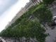 champs elysees