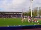 stade
