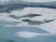 arctique
