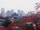chine