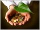 emplois verts