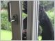 cambrioleur securite