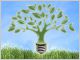m�tiers verts