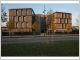 Batiment tertiaire en Bambou 