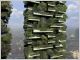 Bosco Verticale vue d'artiste