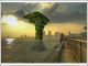 Sea Tree