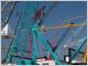 grue