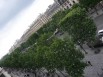 Villes d'Europe les plus attractives : Paris améliore son image (diaporama)