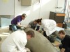 Préparation d'un canoë par les étudiants de l'IUT de Cergy-Pontoise