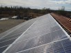 Photovoltaïque : un moratoire qui fait débat