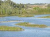 De l'exploitation des carrières à la biodiversité