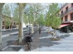 Un projet d'urbanisme pour rendre Toulouse aux Toulousains (diaporama)