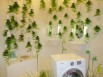 La salle de bains écologique