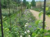 Jardin de l'année 2013 - douze jardins à thème 