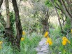 Coup de coeur 2013 - un havre de pays débordant de verdure