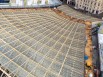 Les Halles et sa fameuse Canopée