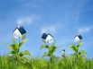 Le bâtiment, pilier de la transition écologique