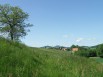 Herbes de prairie