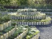 Le jardin mis en boîte 