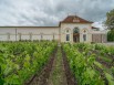 Au coeur des célèbres vignes de Saint-Emilion