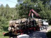 PLF 2017 : le soutien à la filière bois