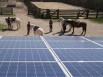 Autoconsommation : les professionnels du solaire pas satisfaits