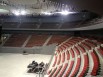 L'intérieur du Brest Arena 