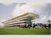 Le chantier de l'hippodrome de Longchamp en chiffres