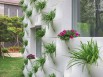 Des vases incrustés dans les façades pour fleurir les rez-de-jardin
