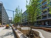 La naissance du projet de l'éco-quartier "Greencity" à Zurich au début des années 2000